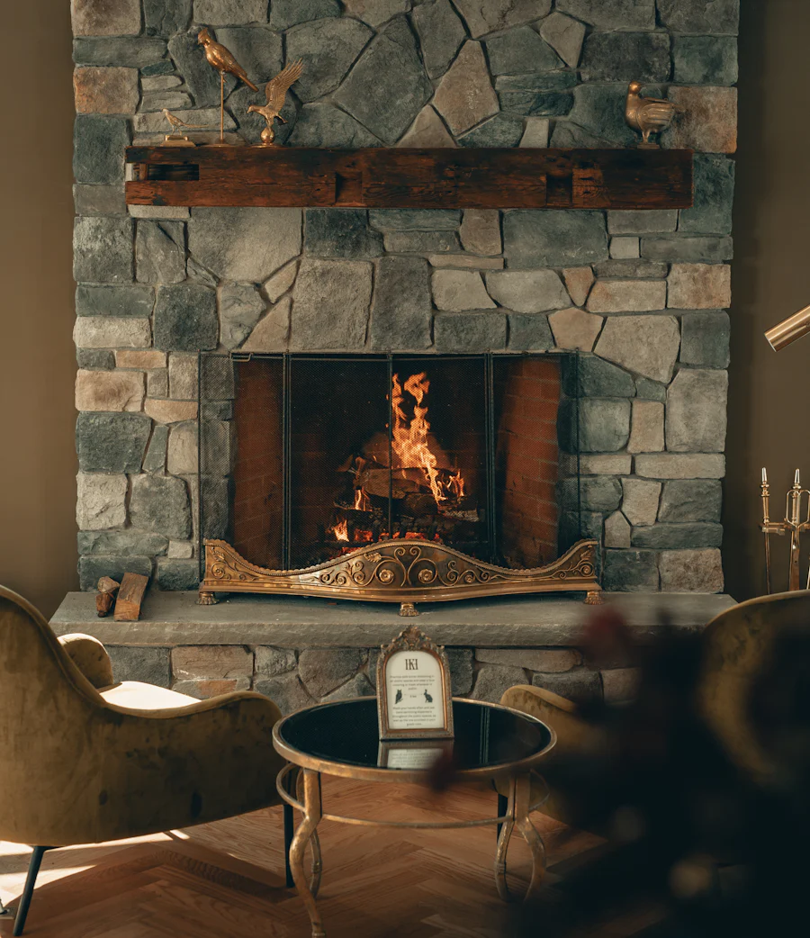 Foyer au bois dans un salon
